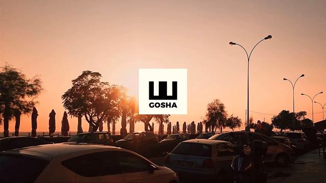 Gosha Shermadini - Fury смотреть онлайн
