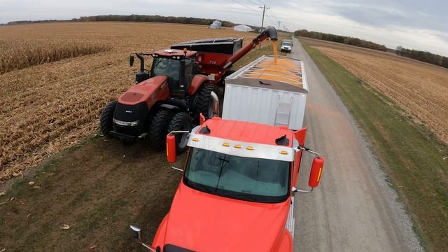 Red Gold - Corn Harvesting - CASE IH Axial Flow 5130 - Magnum™ 250 -Demco 750 - Harvest 2020 - 5K смотреть онлайн