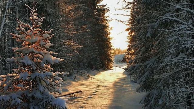 Ёлочка ёлка лесной аромат | la canción rusa (canto yo :) смотреть онлайн