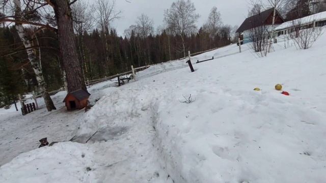 12.03.23. Прокоп Перезимний, Дорогорушитель. День посадки цветов. смотреть онлайн