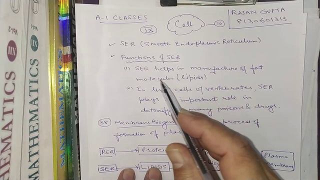 FUNDAMENTAL UNIT OF LIFE (PART 2),NCERT/CBSE CLASS 9 BY RAJAN GUPTA смотреть онлайн