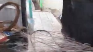 MVI 0174 x264  Как связать из заготовленной чилиги веники для того чтобы обметать снег зимой с обув