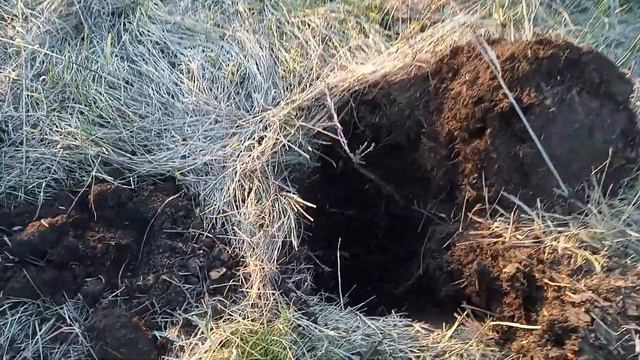 Николай первый и другие находки смотреть онлайн