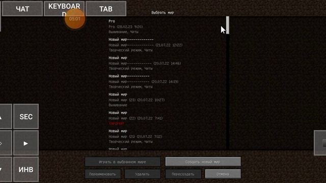 как играть вместе в Pojavlauncher версия игры 3.3.1.1