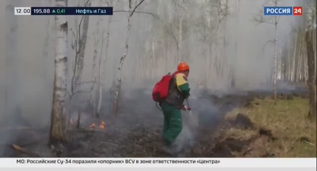 Россия 24_Природные пожары в регионах РФ смотреть онлайн