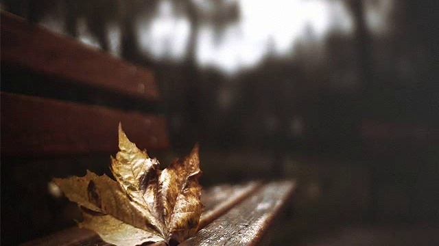 ЛИСТ ХУДОЙ ЛЕЖИТ НА СПИНКЕ поёт Вера Пенькова, стихи Галины Пятисотских смотреть онлайн