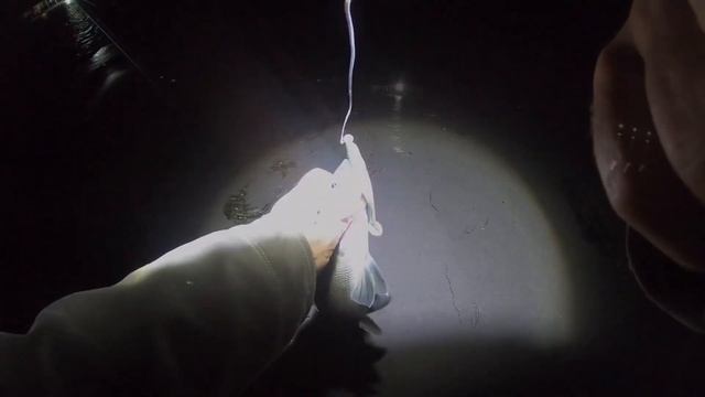 Ночная рыбалка в Черногории на сибаса. смотреть онлайн