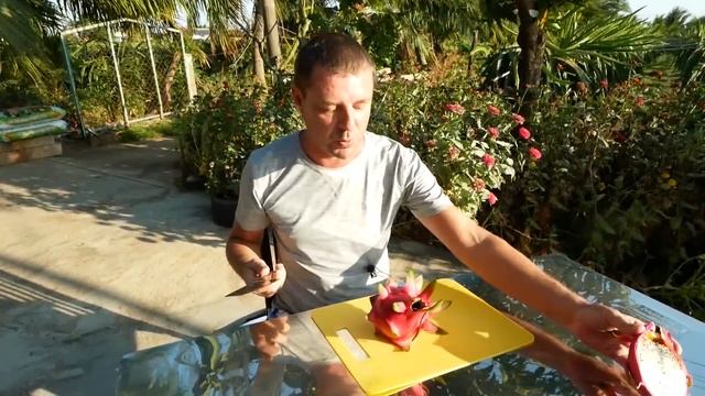 Почти все о дрэгон фруктах! смотреть онлайн