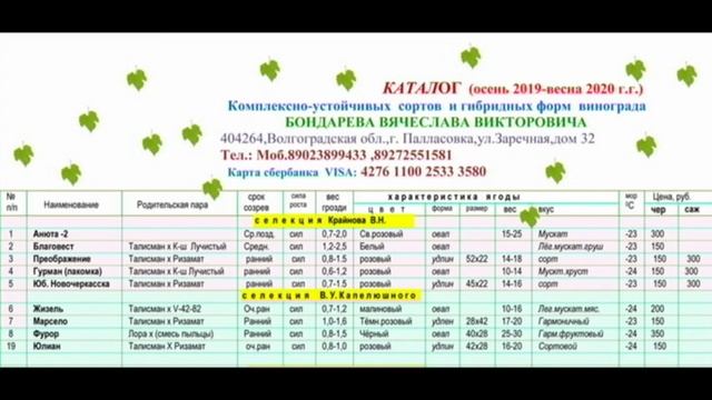 Каталог винограда 2019-2020г. Бондарев Вячеслав Викторович. смотреть онлайн