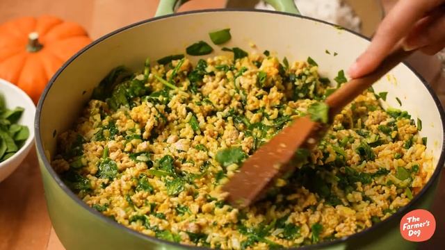 The Farmer’s Dog DIY: Homemade Chicken and Rice Dog Food Recipe смотреть онлайн