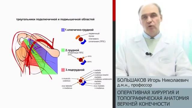 Большаков. Топографическая анатомия верхней конечности смотреть онлайн