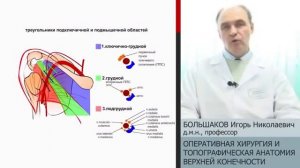 Большаков. Топографическая анатомия верхней конечности