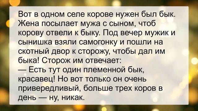 Корову отвели к быку... Сборник смешных анекдотов! Юмор! смотреть онлайн