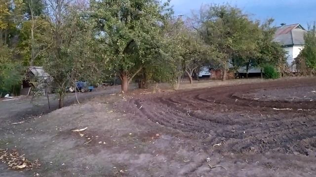 Подготовка участка к посадке чеснока. смотреть онлайн