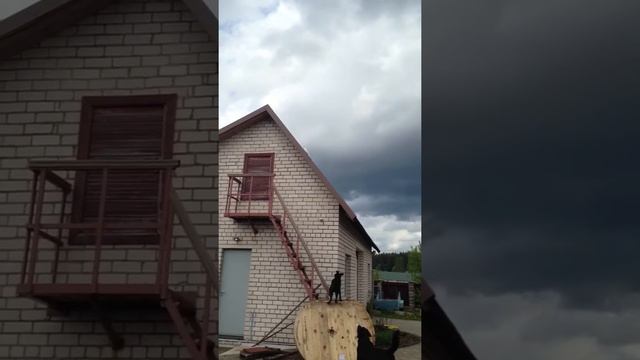 Белый чубатый голубь смотреть онлайн