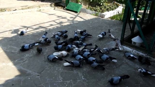 Линька,будет отпуск.