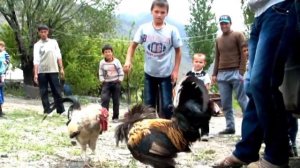 Точикистон Tajikistan Tabushn Точики