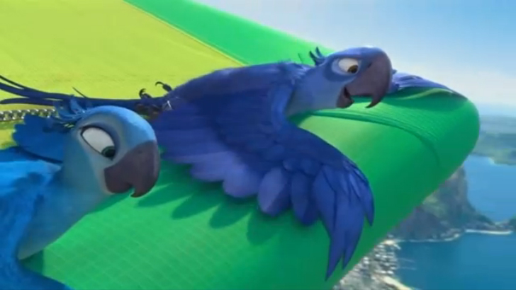 Пара попугаев смотреть онлайн