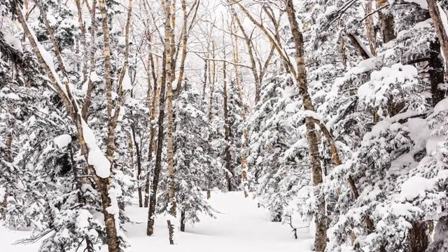 TV Art | Winter Wallpaper | Frame TV Screensaver | Smart TV Background Art | 2 Hours | 4K UHD смотреть онлайн
