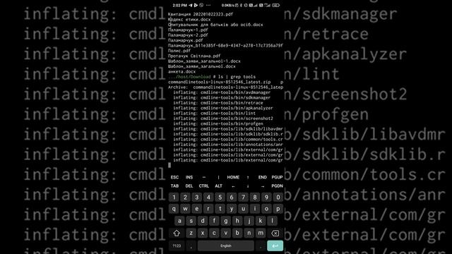 Unzip Android Command Line Tools in vShell - Set Environment #5 смотреть онлайн