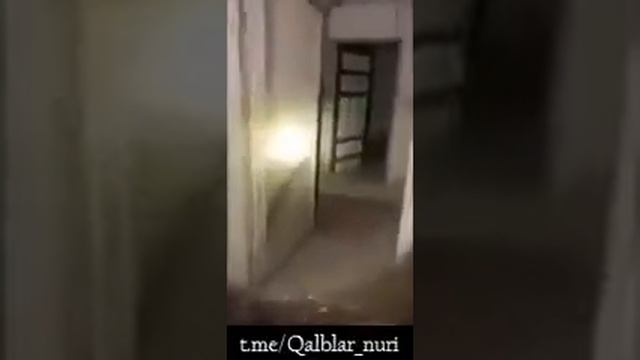 Сурияда жинлар босган уй смотреть онлайн