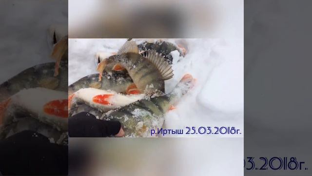 Мордатые окуни на балансир смотреть онлайн