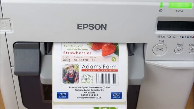 Epson ColorWorks C3500 In Action!