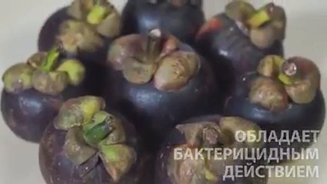 Ekofruit: полезные свойства мангостина смотреть онлайн