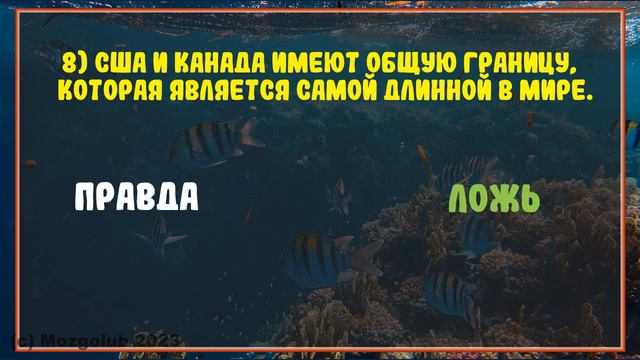 Тест: ПРАВДА или ЛОЖЬ? 15 вопросов на общие знания смотреть онлайн