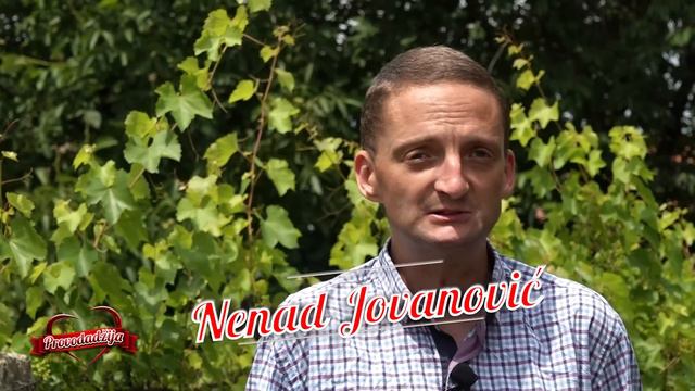 PROVODADZIJA - PROSIDBA - Nakon rostilja, poklona i vatrometa, momak zaprosio nasu kandidatkinju! смотреть онлайн