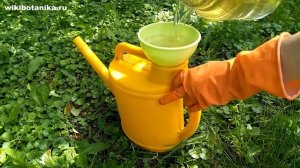 Как ИСПОЛЬЗОВАТЬ ЧИСТОТЕЛ в саду и огороде