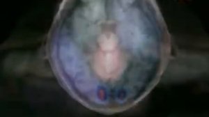 84 Сила звука. Необъяснимо, но факт