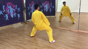 8 кусков парчи