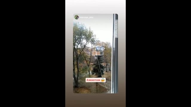 Кормушка для птиц на окно Арт Домик. Подборка видео с птицами! смотреть онлайн