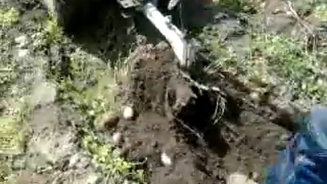 Відео0021 смотреть онлайн