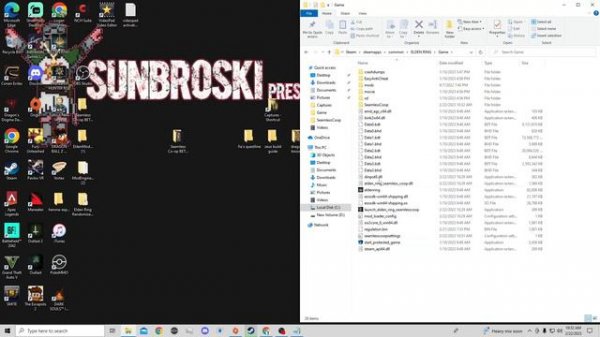 How to Install Seamless Coop & Randomizer together in Elden Ring