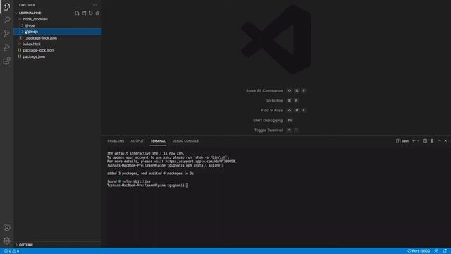 Alpine JS - 01 Installation смотреть онлайн