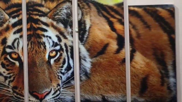 Модульная картина Артикул Е297 смотреть онлайн