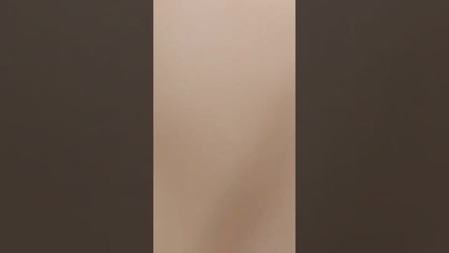 пустошовная кладка