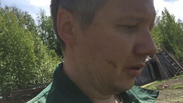 Сухая абиссинка смотреть онлайн