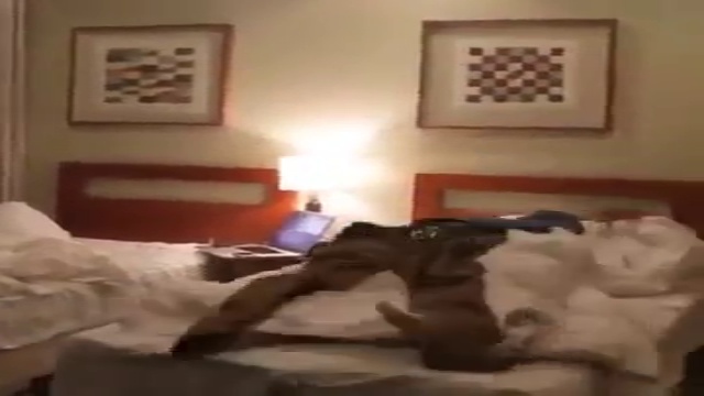  Как я быстро ложусь спать by Zach King смотреть онлайн