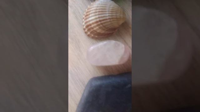 Сколько лет живёт камень смотреть онлайн