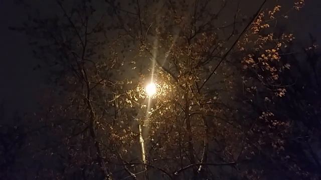 Сила мысли человека...19 1 18... С 2... смотреть онлайн