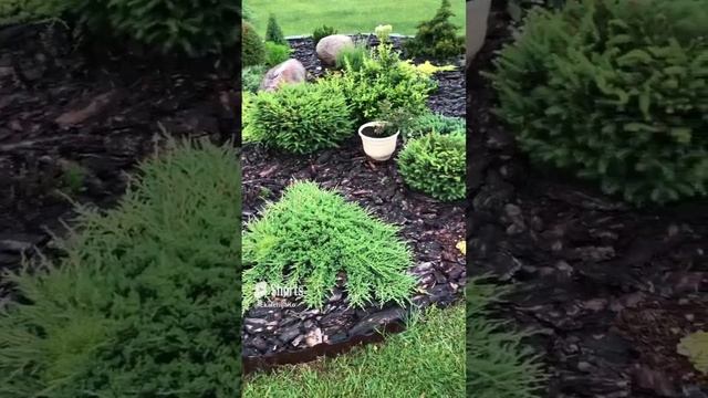 Вызвала дождь ? смотреть онлайн