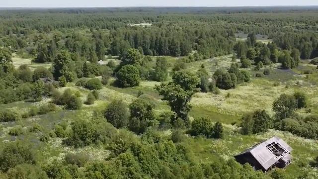СВЕРСТНИЦЫ (муз.Л.Горцуевой, сл. В.Крюковой) смотреть онлайн