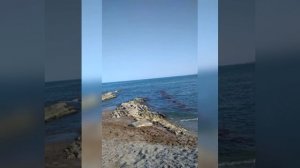 КАСПИЙСКОЕ МОРЕ УНОСИТ ЛЮДЕЙ ...Вахид Аюбов