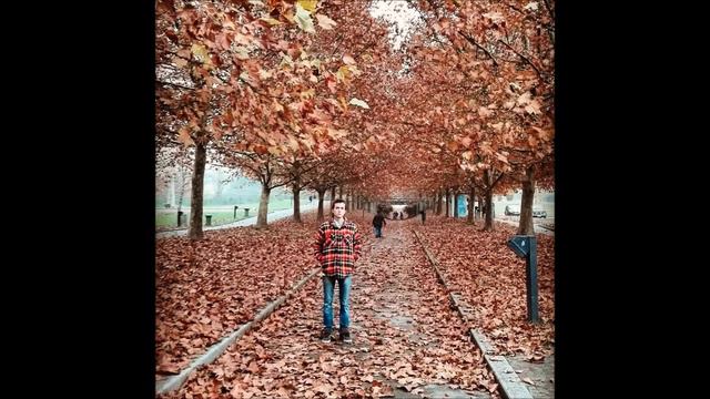Carlos Serrano- "Girl from the North Country" (Dylan) live @Treviso смотреть онлайн