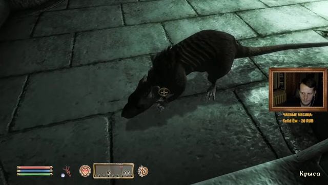 Получемпион Сиродила #23 | TES IV: Oblivion смотреть онлайн