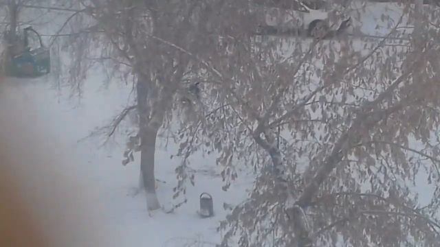 Погода в п.Белореченский смотреть онлайн