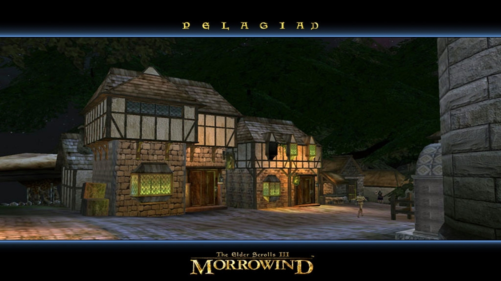 The Elder Scrolls III : Morrowind #6